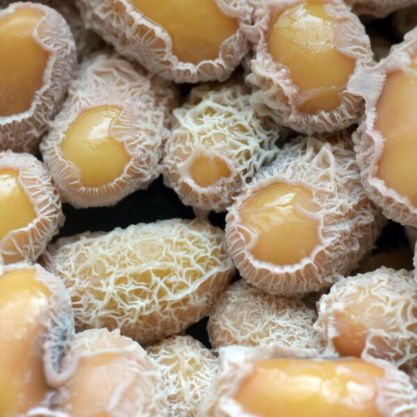 fermentados japoneses